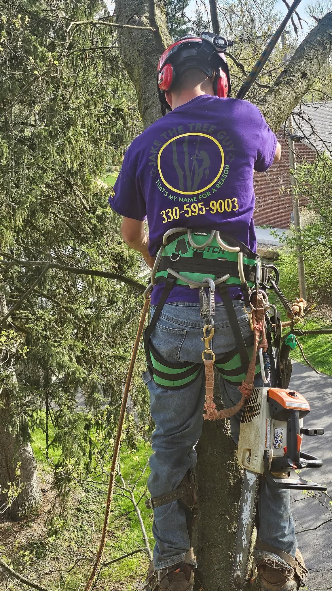 Jake in branded shirt with climbing gear and chainsaw