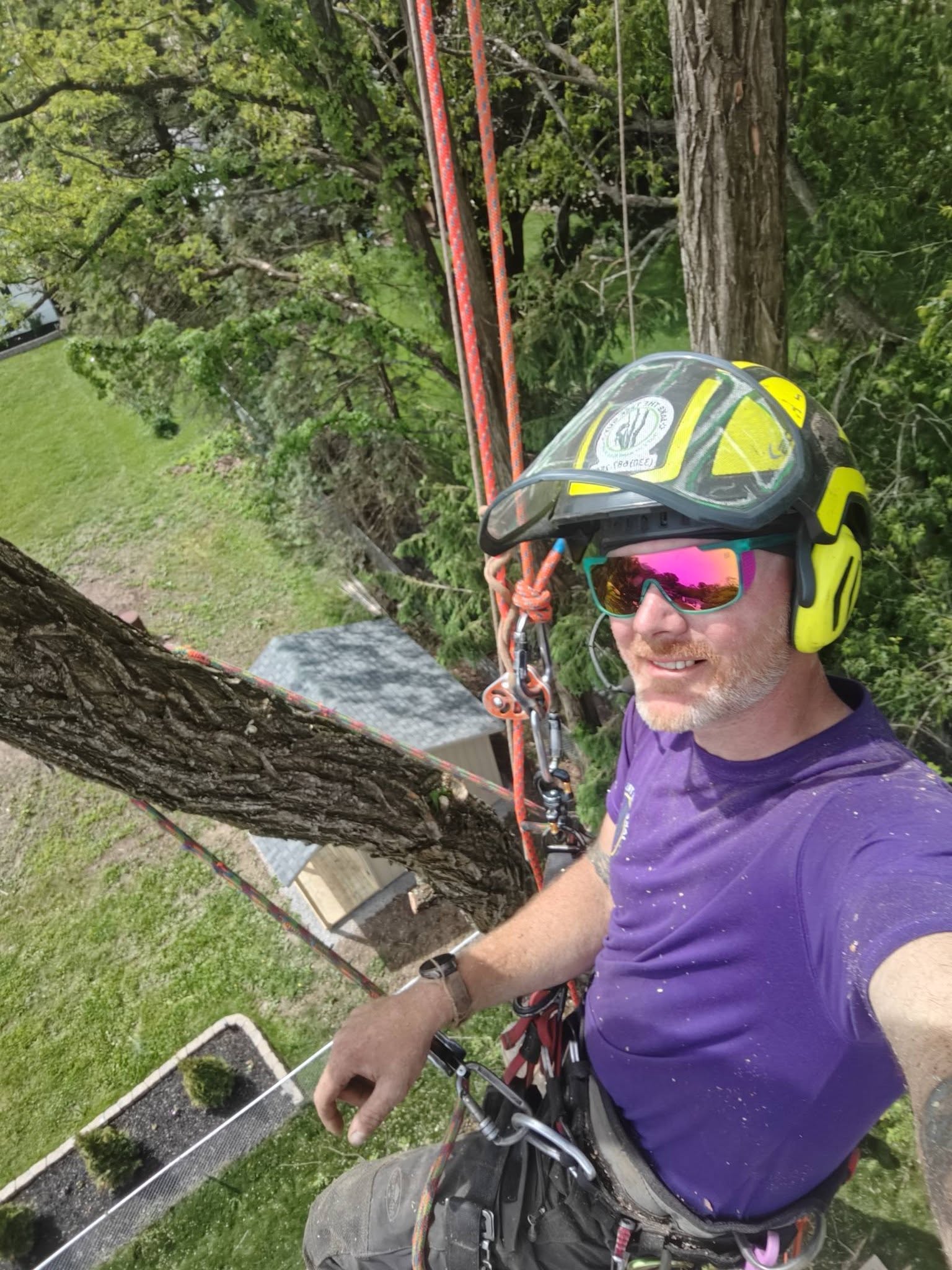 Jake in full climbing gear up in a tree