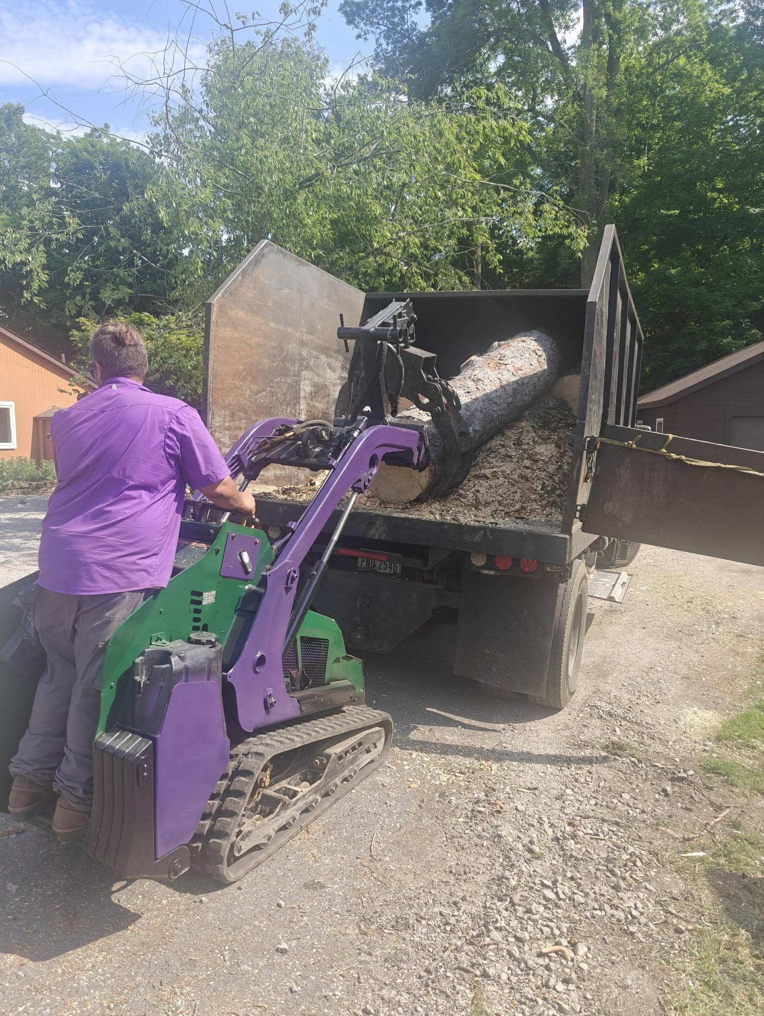 Log cleanup and hauling